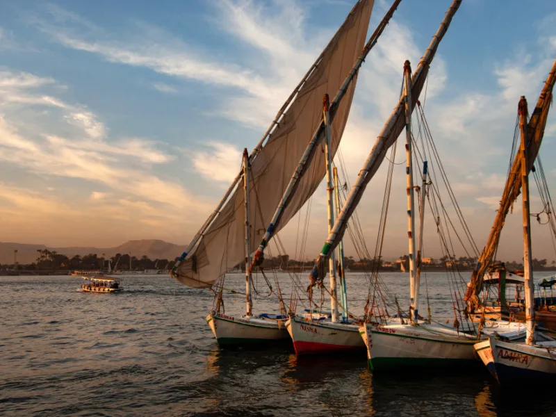 Seven Days on the Nile